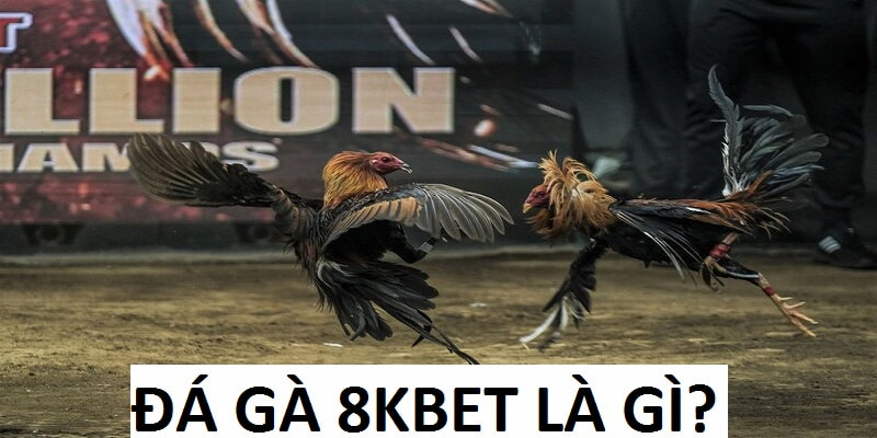 Giới thiệu Đá Gà 8KBET